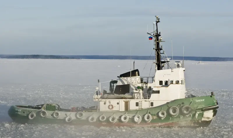VIKING General Cargo IMO 7011606 photo 5