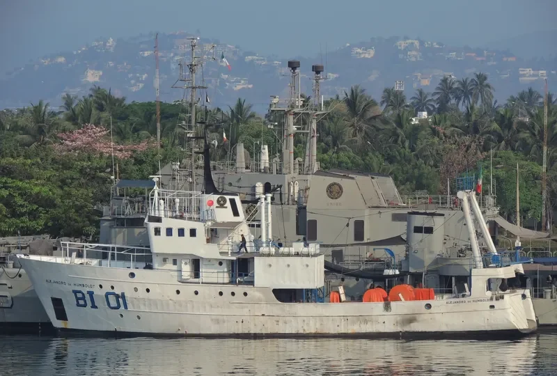 ALEJANDRO DE HUMBOLDT General Cargo IMO 7012337