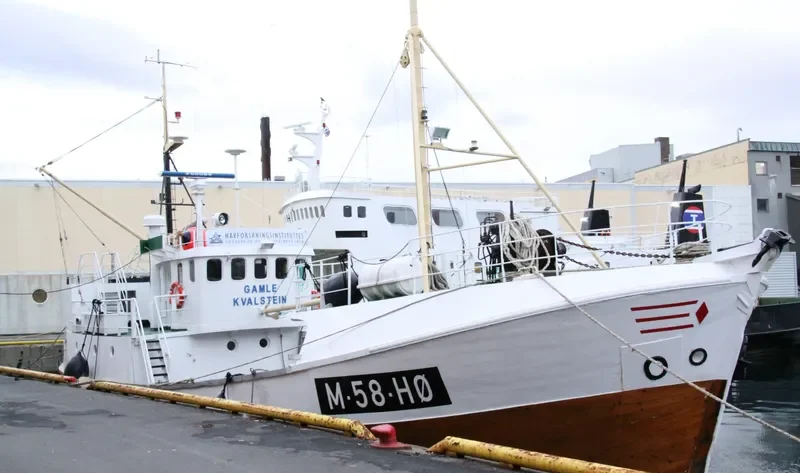 GAMLE KVALSTEIN Fishing Vessel IMO 7012741 photo 3