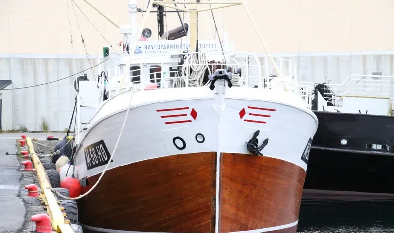 GAMLE KVALSTEIN Fishing Vessel IMO 7012741 photo 4