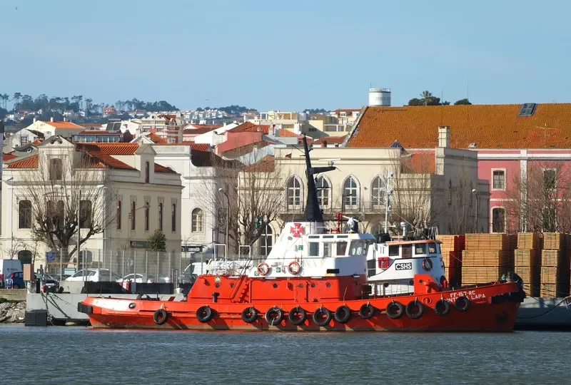 MONTE DA LAPA Tug Boat IMO 7012961 photo 2