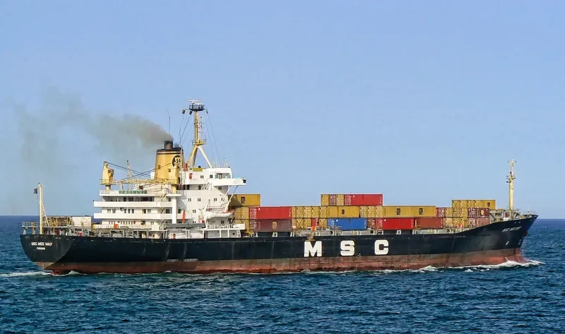 MSC MEE MAY Container Ship IMO 7015274