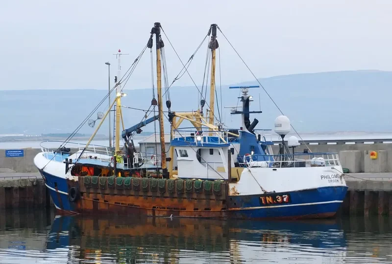 CAMM COURAGEOUS General Cargo IMO 7015456 photo 5