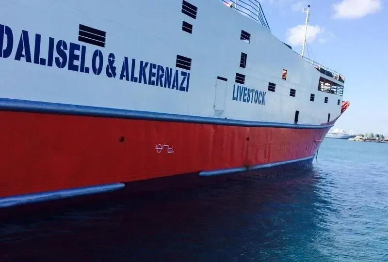 JANAY General Cargo IMO 7015509 photo 8