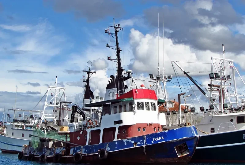 TRAPA General Cargo IMO 7017090