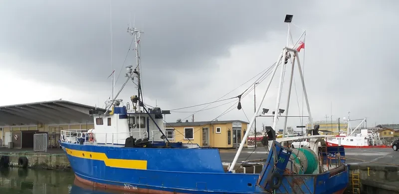 WLA 217 General Cargo IMO 7017301