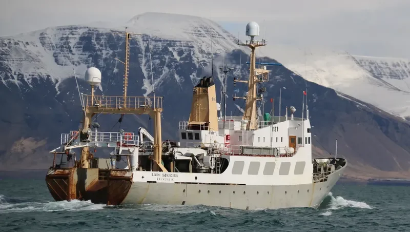 BJARNI SAEMUNDSSON General Cargo IMO 7017466 photo 2