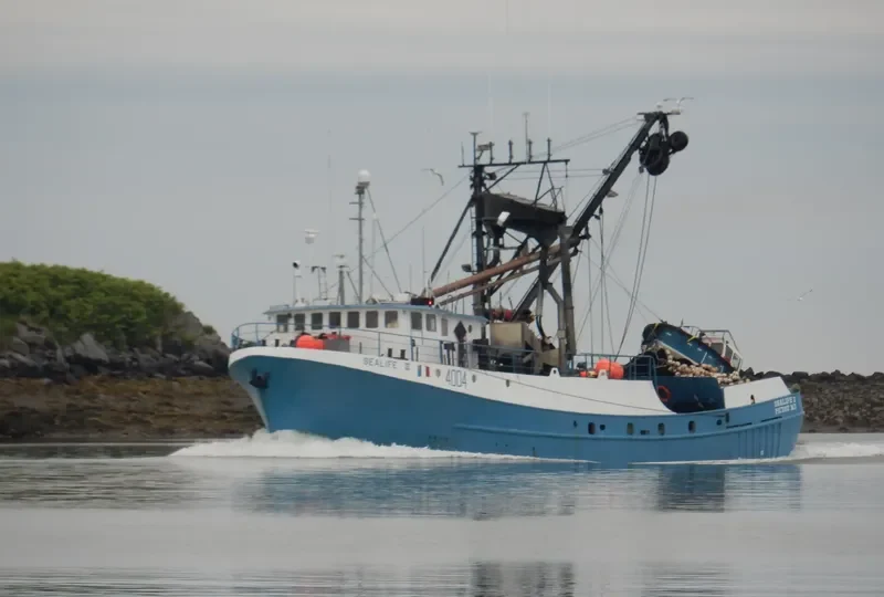 SEALIFE II Fishing Vessel IMO 7017765