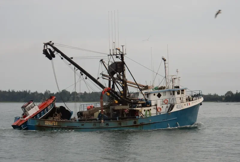 SEALIFE II Fishing Vessel IMO 7017765 photo 2