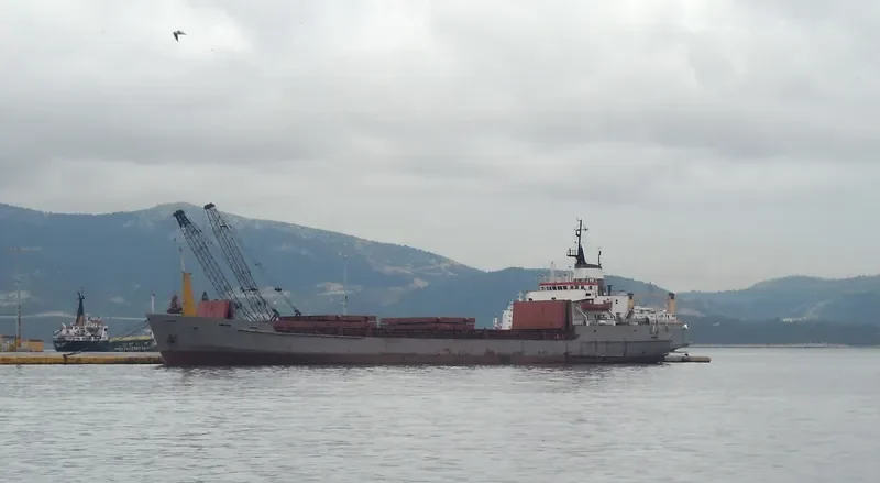 ALM Container Ship IMO 7019220 photo 7