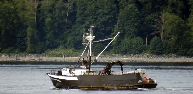 SEA VENTURE Fishing Vessel IMO 7019232