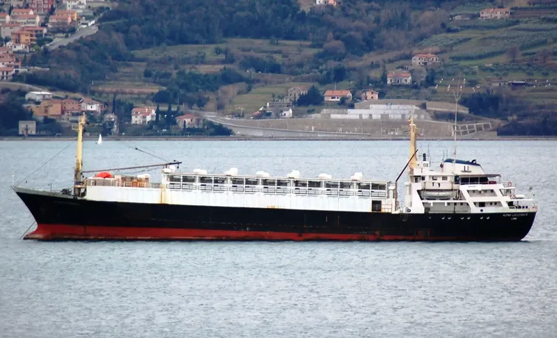 UNIMAR LIVESTOCK General Cargo IMO 7021821 photo 6