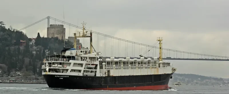 UNIMAR LIVESTOCK General Cargo IMO 7021821 photo 8