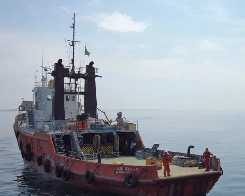 EKOLDELFINO General Cargo IMO 7022136 photo 4