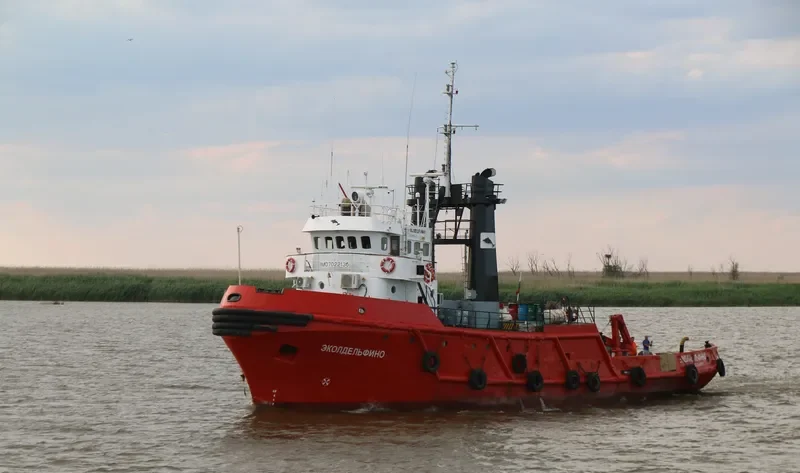 EKOLDELFINO General Cargo IMO 7022136 photo 7