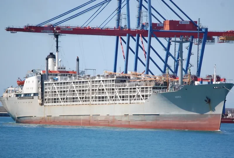 KENOZ General Cargo IMO 7022356 photo 2