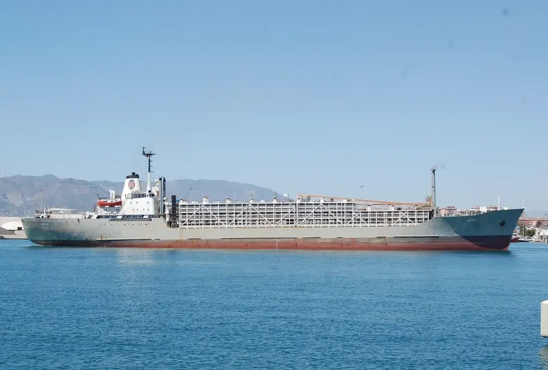 KENOZ General Cargo IMO 7022356 photo 6