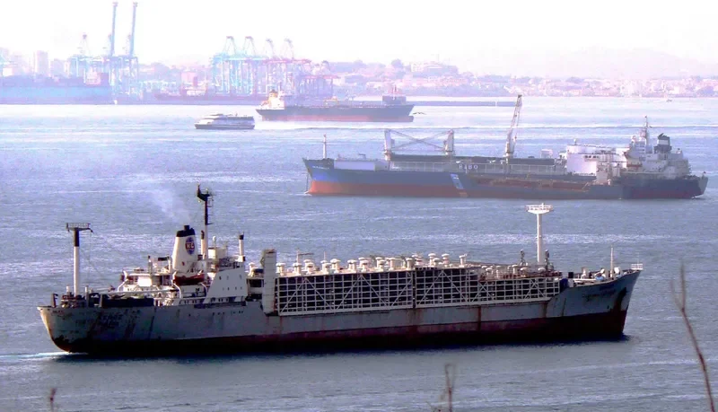 KENOZ General Cargo IMO 7022356 photo 8