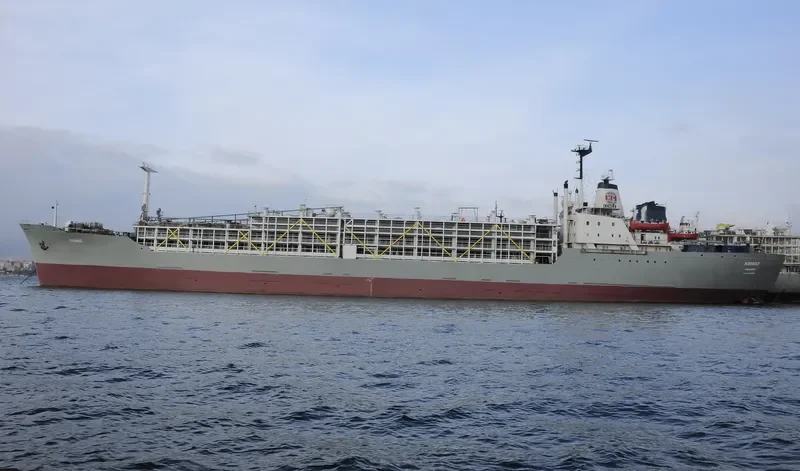 KENOZ General Cargo IMO 7022356 photo 9