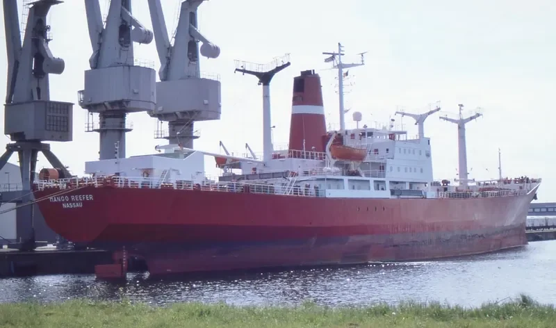 MANGO REEFER General Cargo IMO 7023934