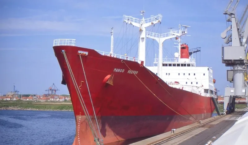 MANGO REEFER General Cargo IMO 7023934 photo 2