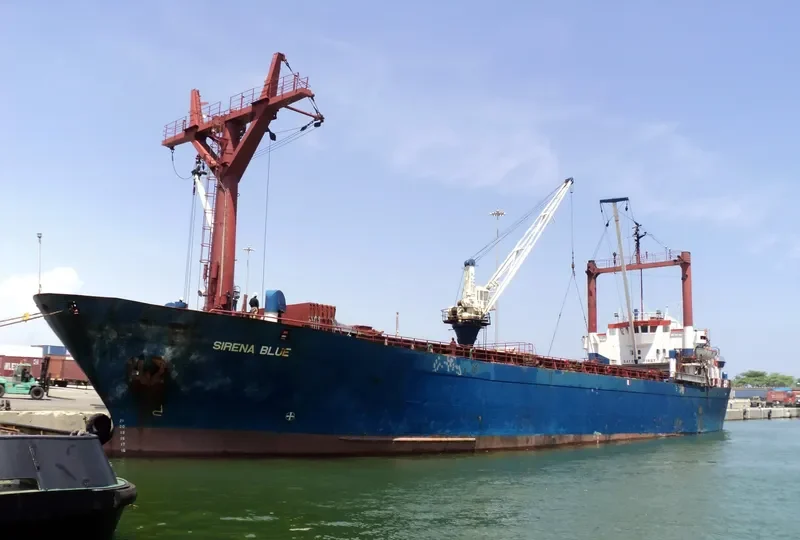 SIRENA BLUE Ro-Ro IMO 7024093 photo 3
