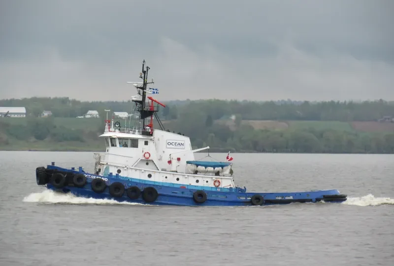 OCEAN BRAVO Tug Boat IMO 7025279 photo 3