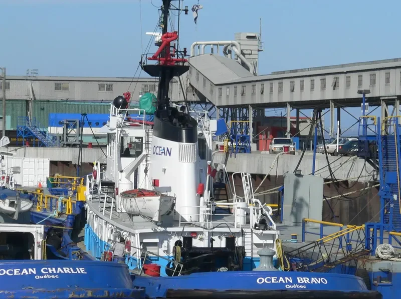 OCEAN BRAVO Tug Boat IMO 7025279 photo 6