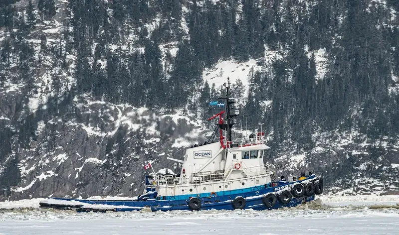 OCEAN BRAVO Tug Boat IMO 7025279 photo 9
