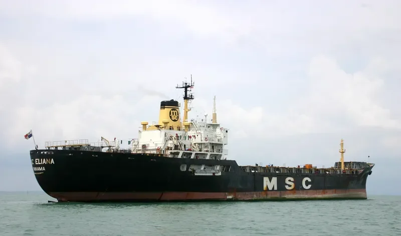 MSC ELIANA Container Ship IMO 7025877