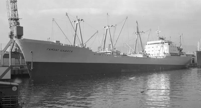 GAMZAT TSADASA Container Ship IMO 7025994