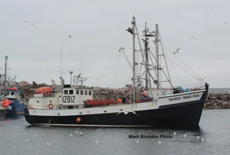 MATHIEU MARIE PIER 2 General Cargo IMO 7026481