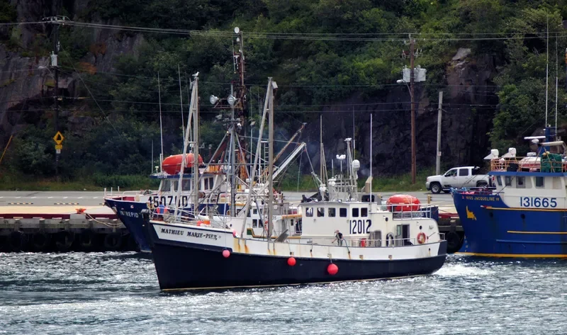 MATHIEU MARIE PIER 2 General Cargo IMO 7026481 photo 9