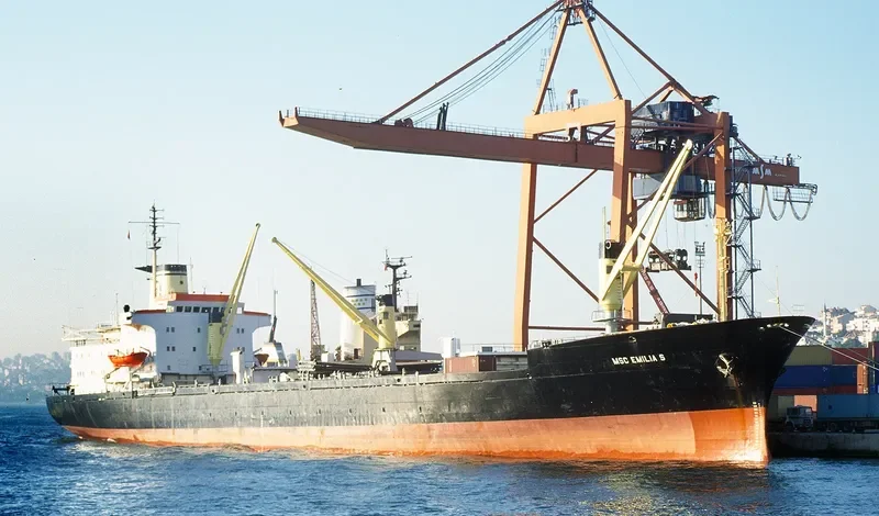 MSC EMILIA S General Cargo IMO 7026522