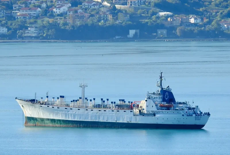 RAMI M General Cargo IMO 7026663 photo 5