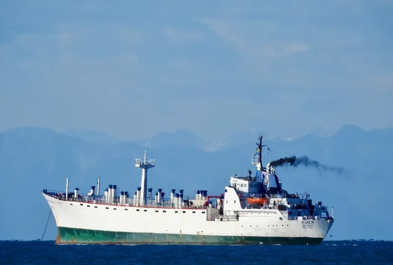 RAMI M General Cargo IMO 7026663 photo 6
