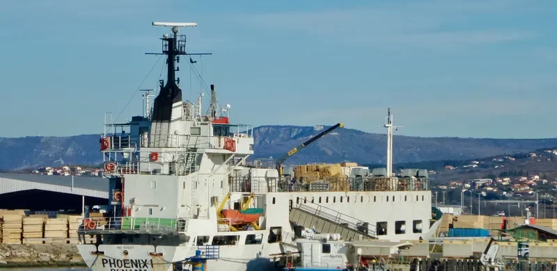 PHOENIX I General Cargo IMO 7026871 photo 4
