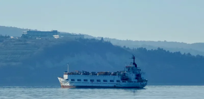 PHOENIX I General Cargo IMO 7026871 photo 5