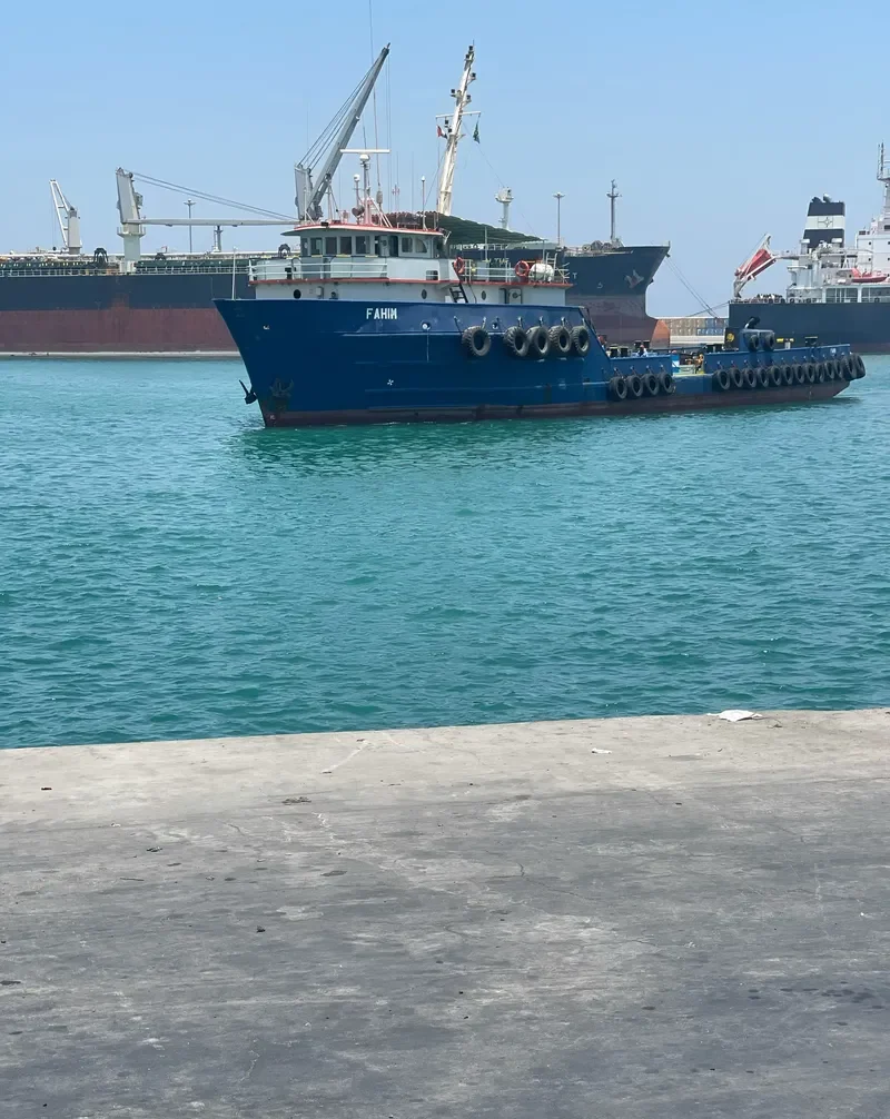 AL BARSHA Offshore Vessel IMO 7026962 photo 3