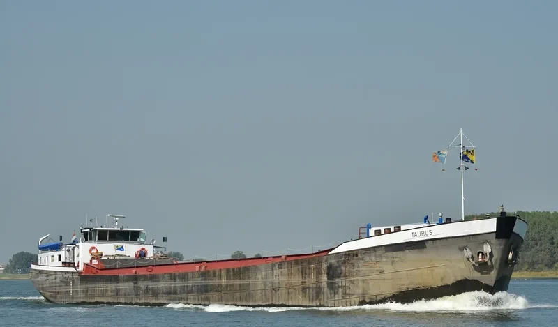 TAURUS General Cargo IMO 7031747