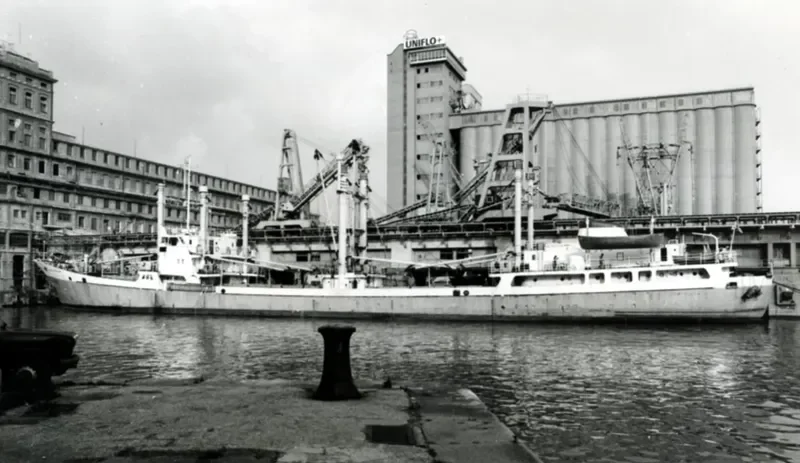 NEW ROSE General Cargo IMO 7034660