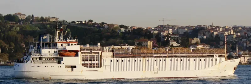 PACIFIC M General Cargo IMO 7041053 photo 2