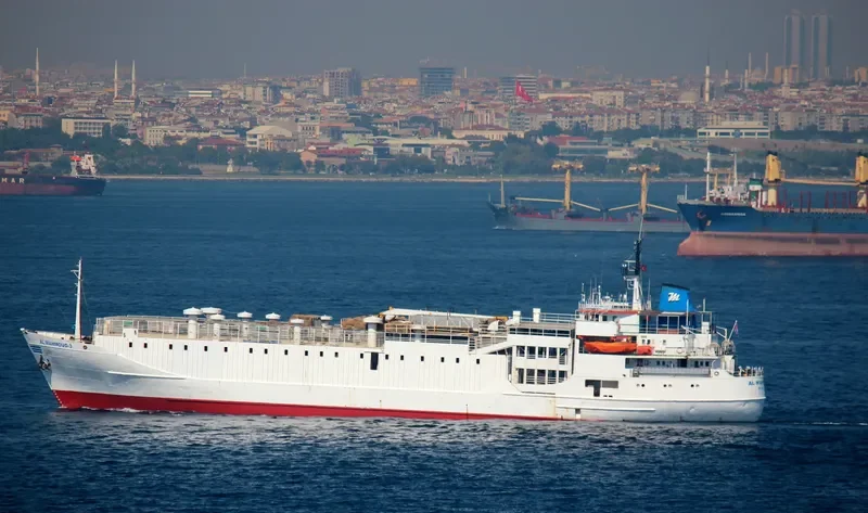 PACIFIC M General Cargo IMO 7041053 photo 5