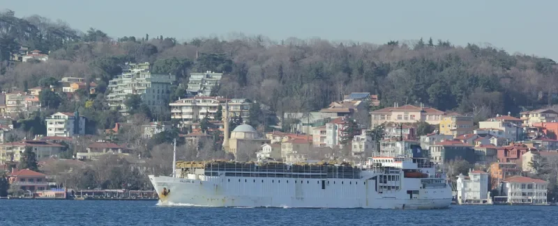 PACIFIC M General Cargo IMO 7041053 photo 7