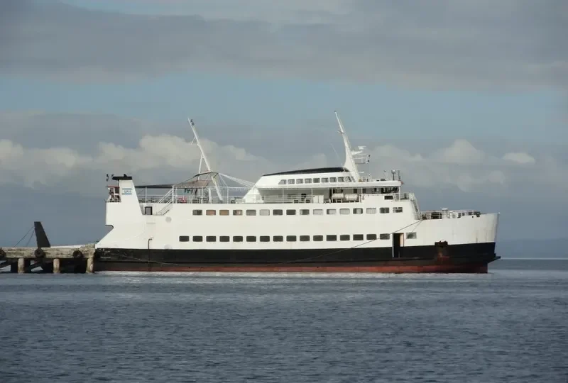 WESTERLAND Ro-Ro IMO 7041091 photo 2