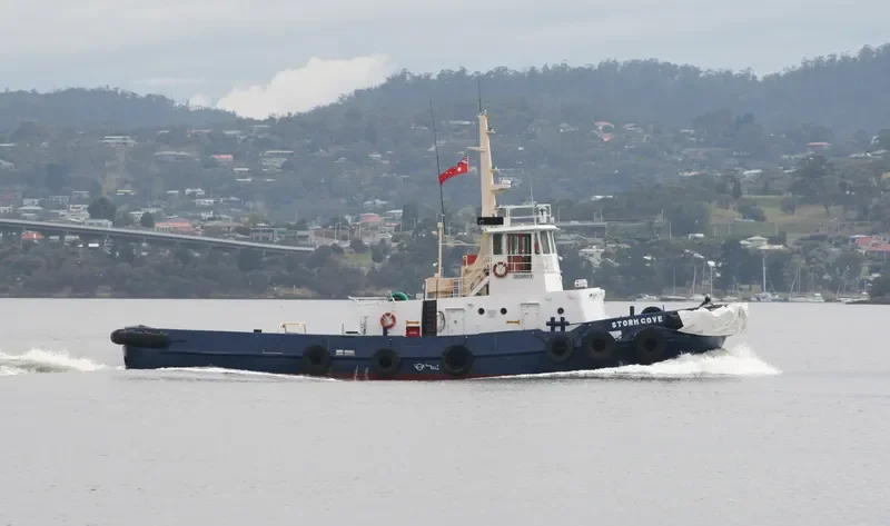 STORM COVE Tug Boat IMO 7041259 photo 7
