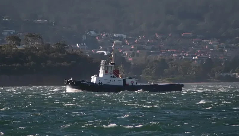 STORM COVE Tug Boat IMO 7041259 photo 9