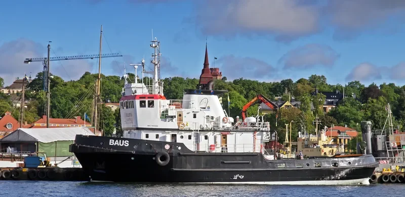 BAUS General Cargo IMO 7041352