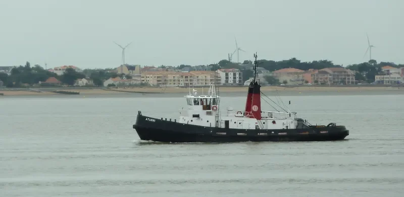 ATURRI Tug Boat IMO 7041443 photo 9