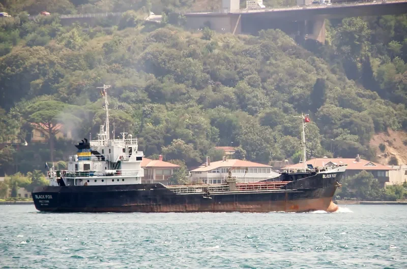 BLACK FOX General Cargo IMO 7042502 photo 2